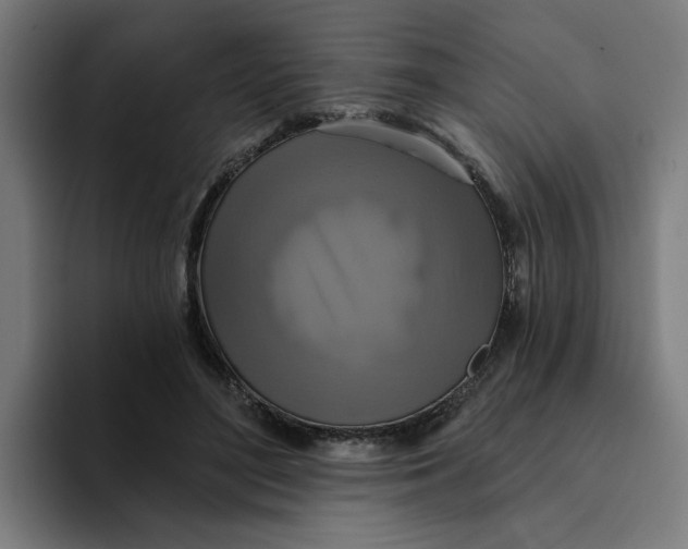 X0000094210500200711161831