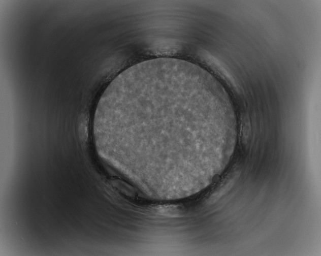 X0000094210501200711161831