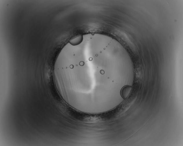 X0000094210503200711161831