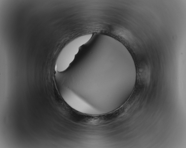 X0000094210504200711161831