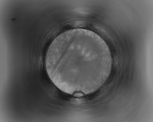 X0000094210506200711161831