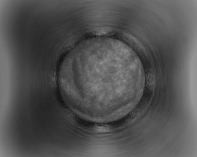 X0000094210510200711161831