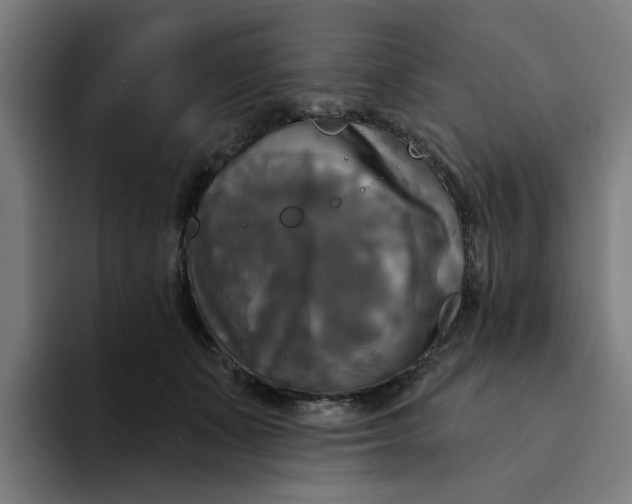 X0000094210511200711161831