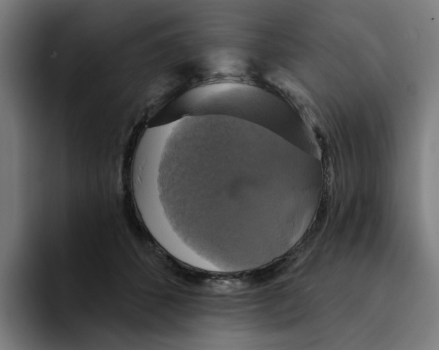 X0000094210512200711161831