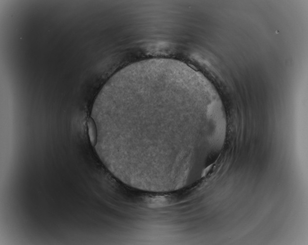 X0000094210513200711161831