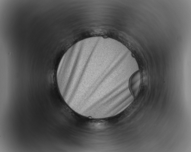 X0000094210514200711161831