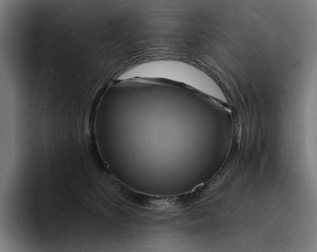 X0000094210516200711161831