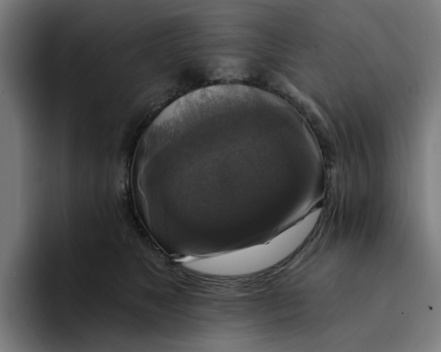 X0000094210517200711161831