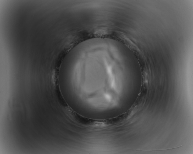 X0000094210519200711161831