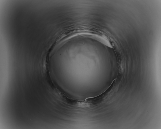X0000094210520200711161831