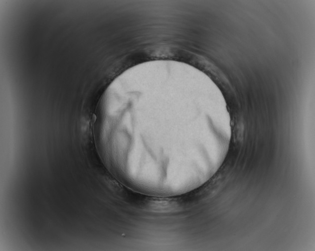 X0000094210521200711161831