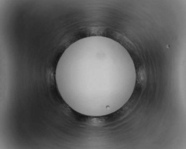 X0000094210522200711161831