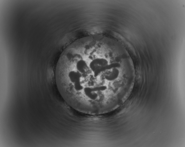 X0000094210523200711161831