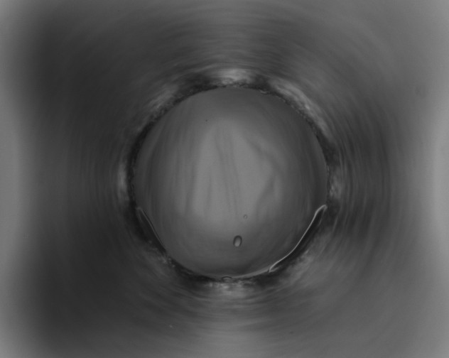 X0000094210524200711161831