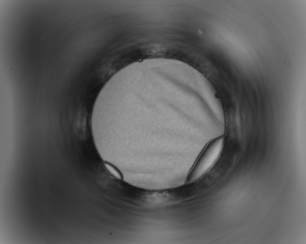 X0000094210525200711161831