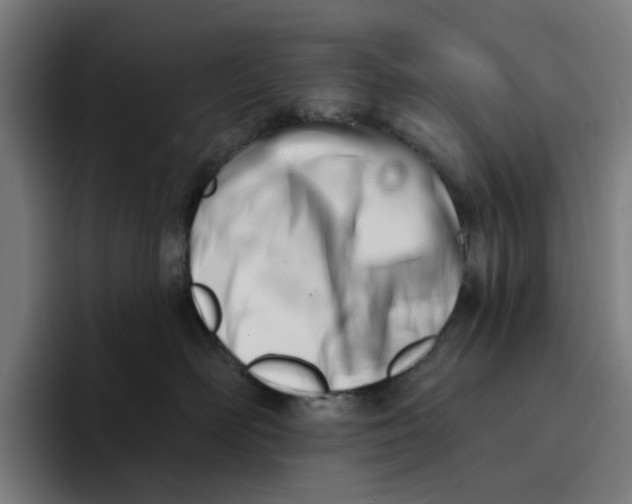 X0000094210526200711161831