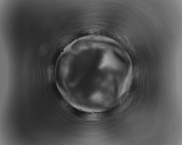 X0000094210527200711161831