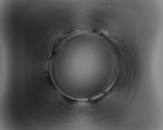 X0000094210528200711161831