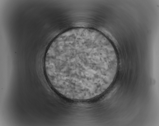 X0000094210529200711161830