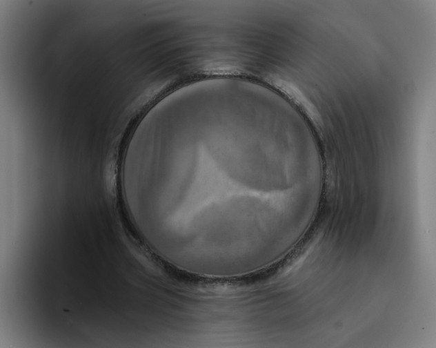 X0000094210533200711161830