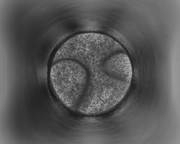 X0000094210534200711161830