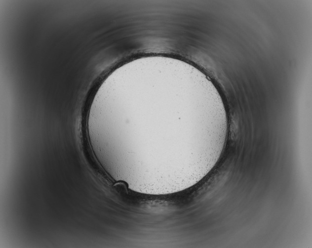 X0000094210535200711161831