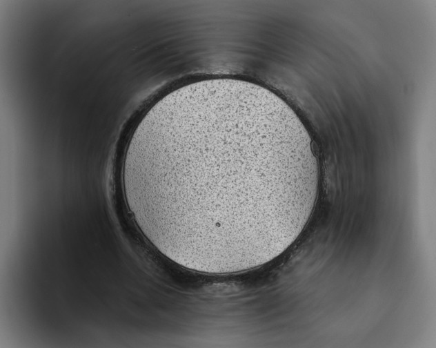 X0000094210536200711161831