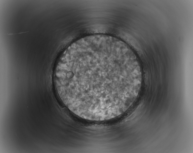 X0000094210537200711161831