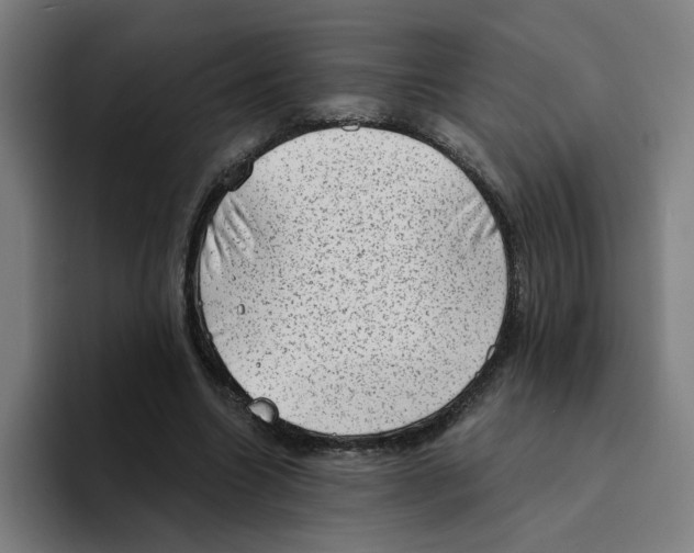X0000094210538200711161831