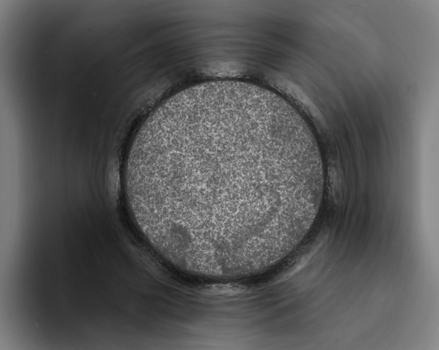 X0000094210541200711161831