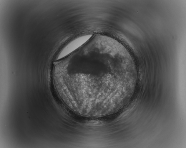 X0000094210542200711161831