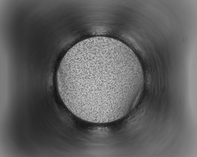 X0000094210543200711161831