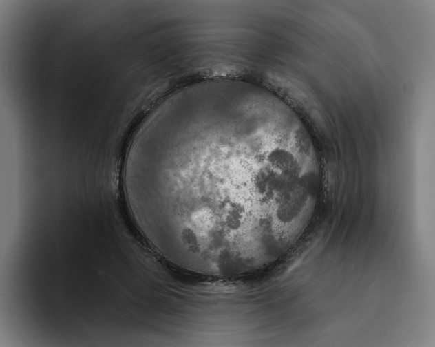 X0000094210545200711161831