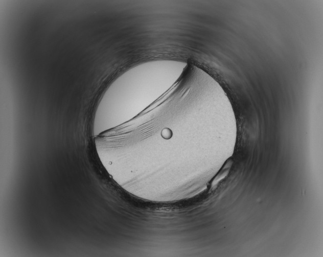 X0000094210546200711161831
