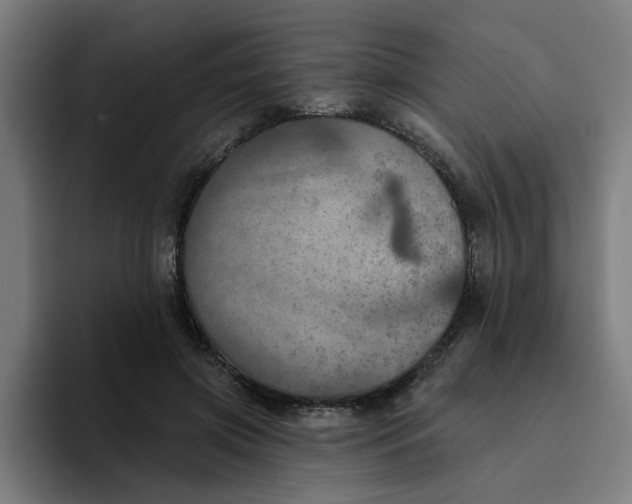 X0000094210549200711161831