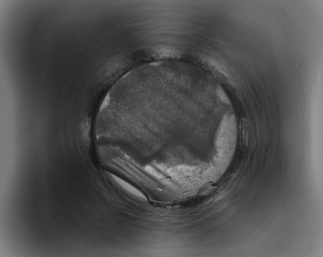 X0000094210550200711161831