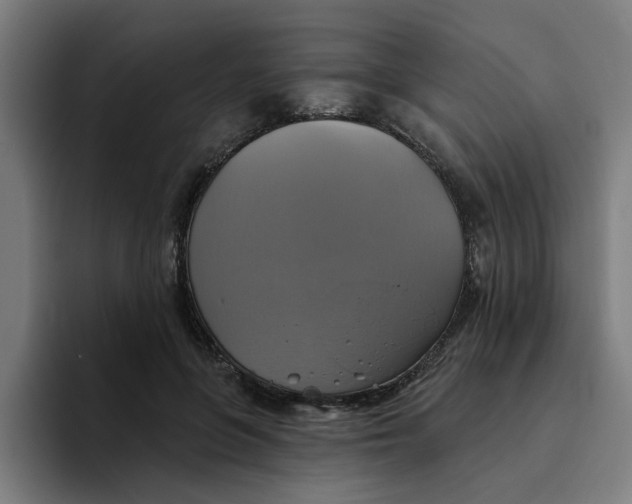 X0000094210551200711161831