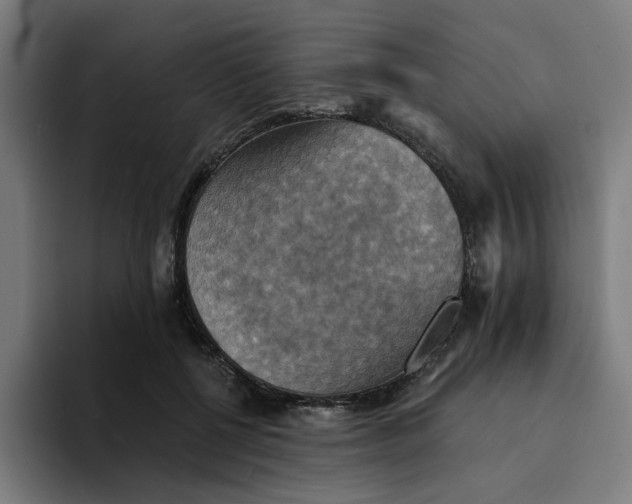 X0000094210552200711161831