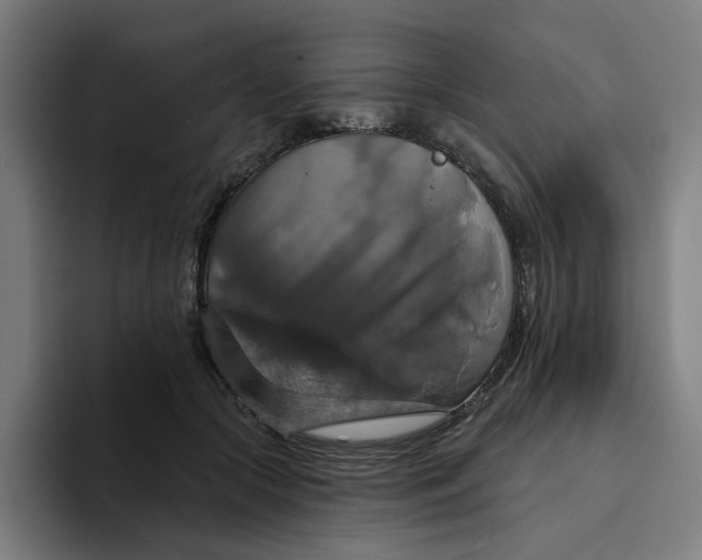 X0000094210553200711161831