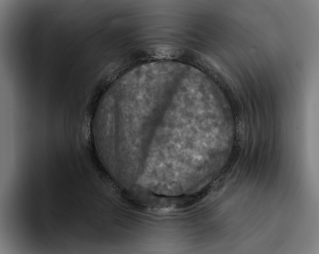 X0000094210554200711161831