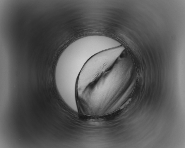 X0000094210556200711161831