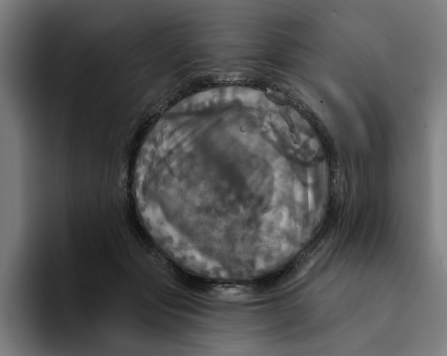 X0000094210557200711161831