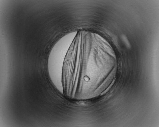 X0000094210558200711161831