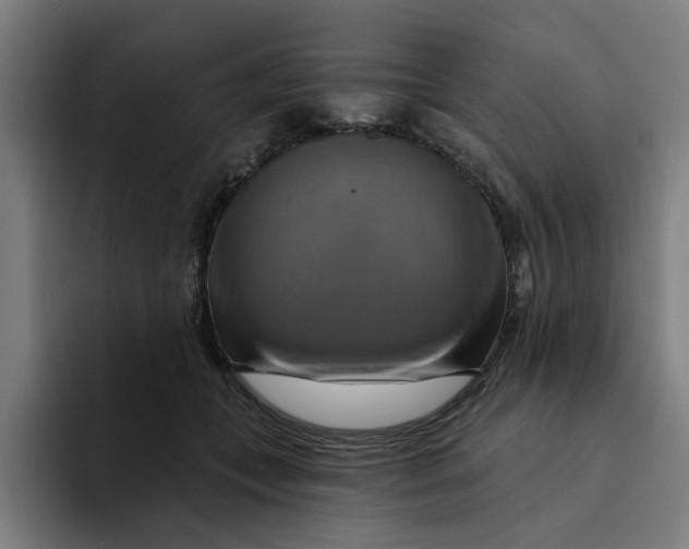 X0000094210559200711161831