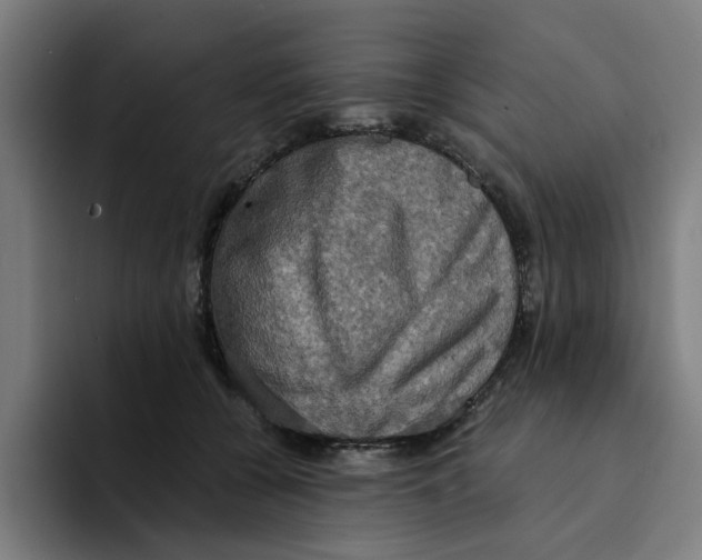 X0000094210560200711161831