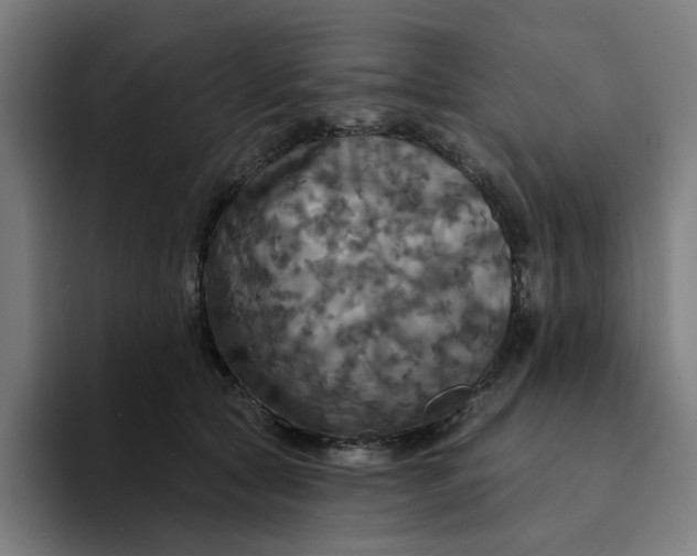 X0000094210561200711161831