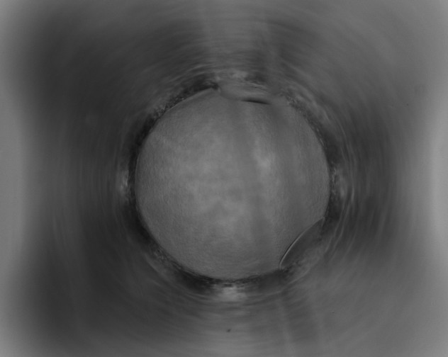 X0000094210564200711161831