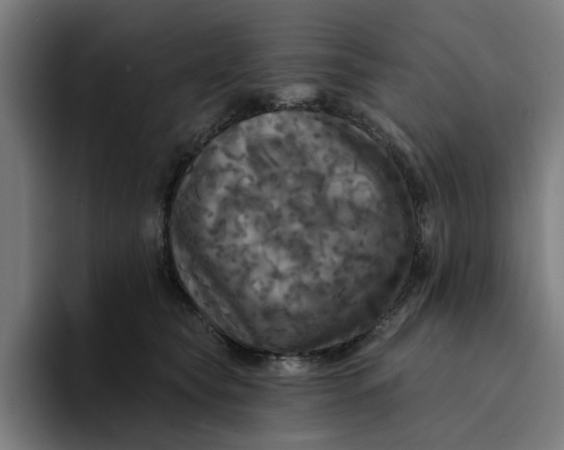 X0000094210565200711161831