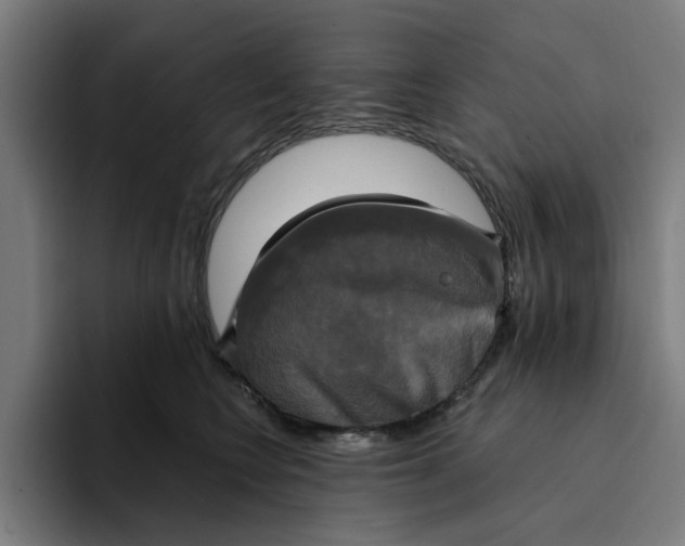 X0000094210566200711161831