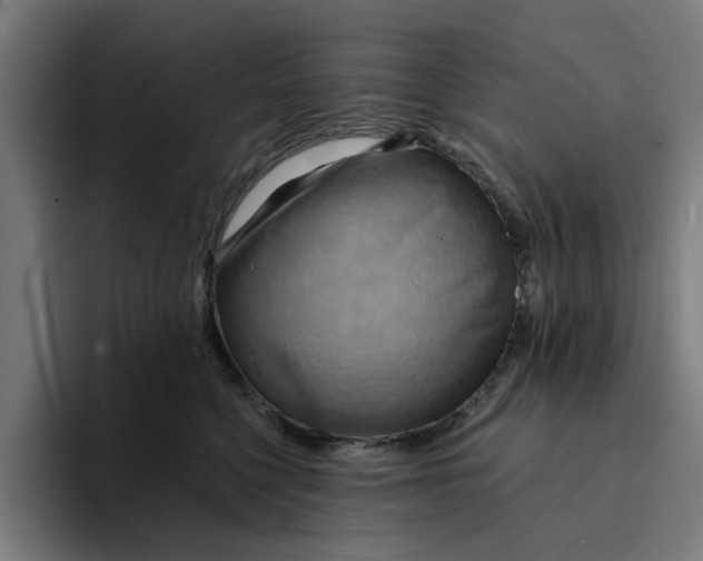 X0000094210568200711161831